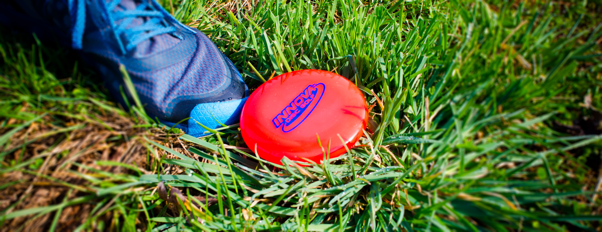 What are Mini Disc Golf Discs Used For?